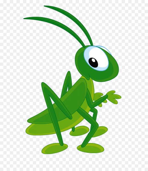 Насекомые. Раскраска