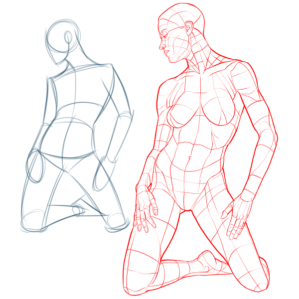 Тело человека для рисования