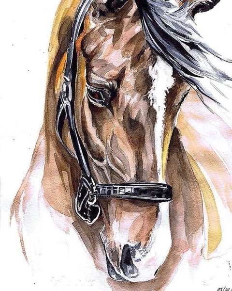 Голова лошади мультяшная