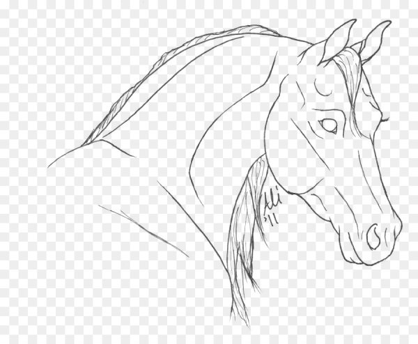 Голова лошади эскиз