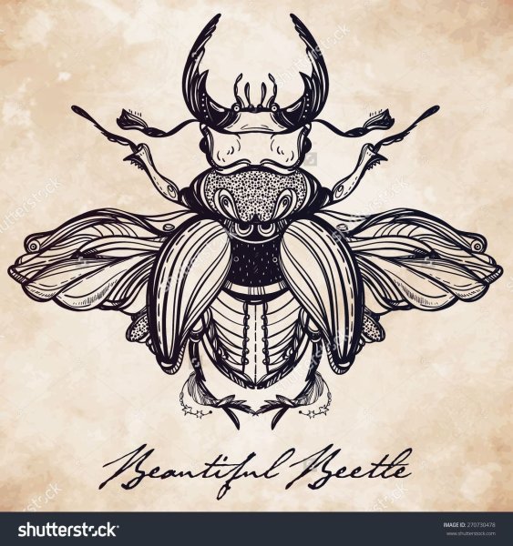 Жук скоробей эскиз тату