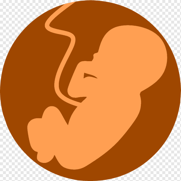 Ребенок в утробе рисунок