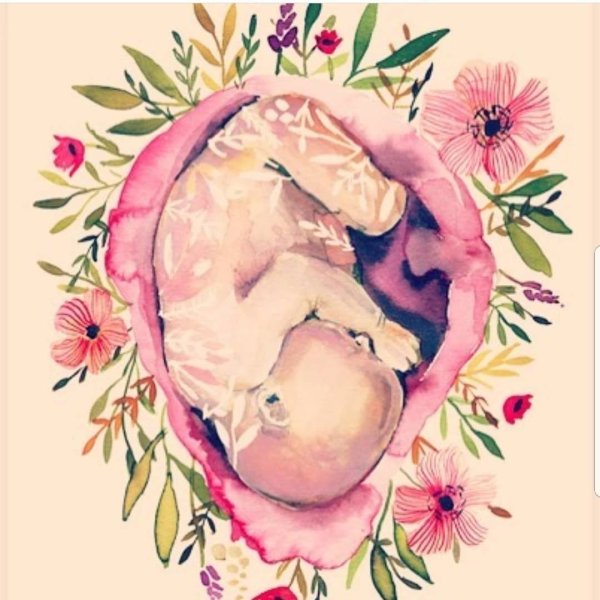 Беременность картина