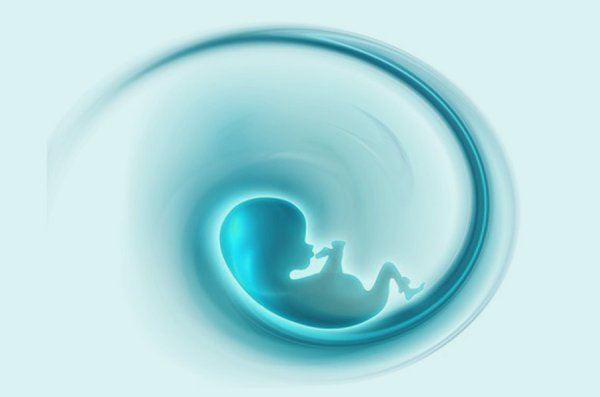 Эмбриология фон