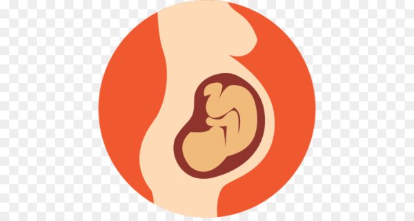 Зародыш вектор