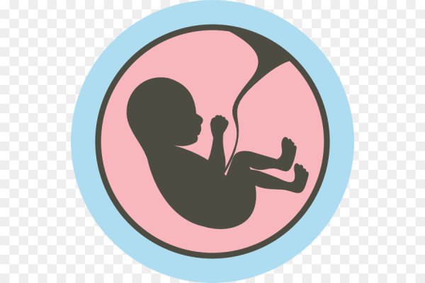 Ребенок в утробе иконка