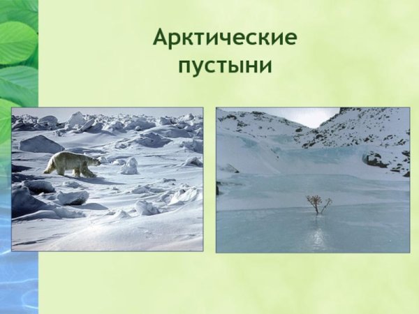 Зона арктических пустынь России
