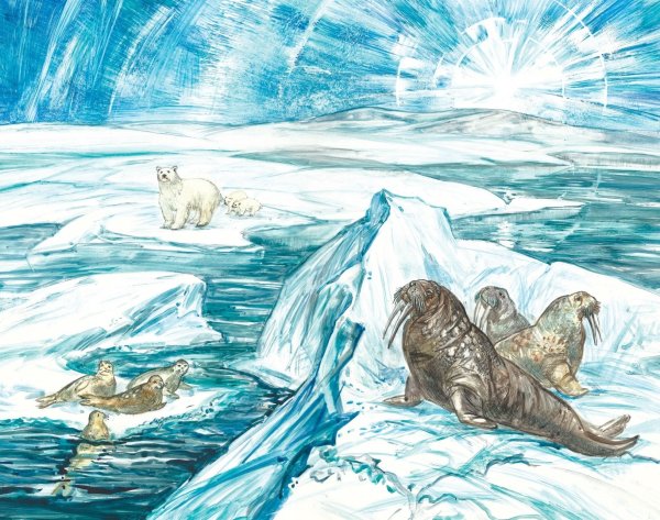 Олег Бундур Царское море рисунки