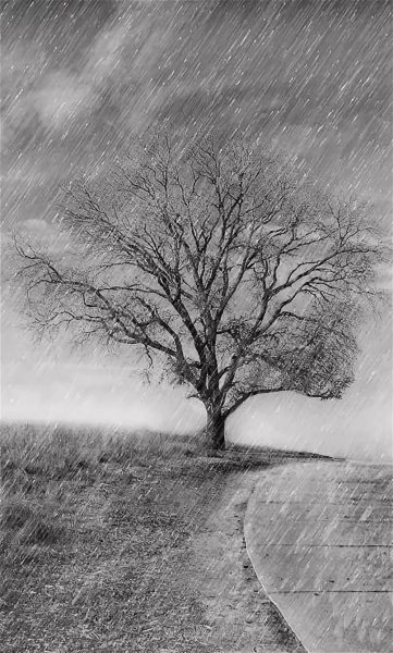 Серая осень