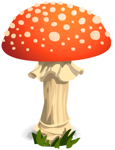 Гриб мухомор рисунок для детей