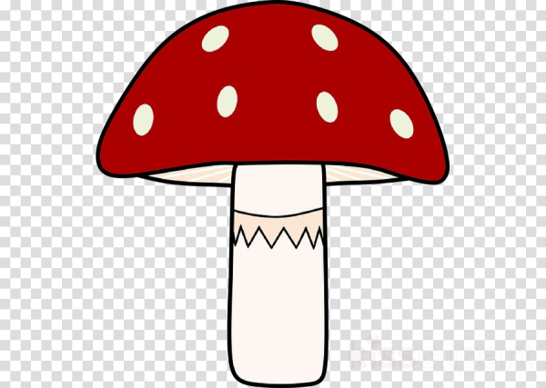 Рисование мухомор