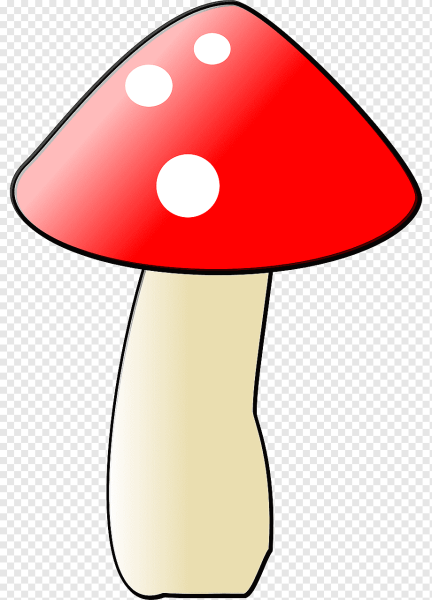 Грибы на белом фоне