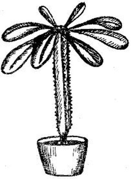 Молочай раскраска для детей