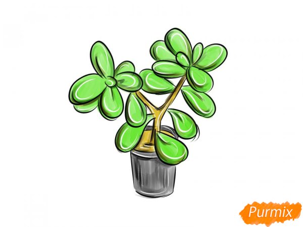 Денежное дерево нарисовать