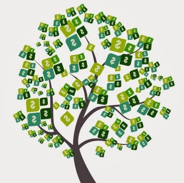 Денежное дерево на белом фоне