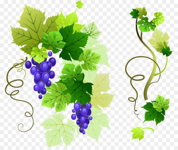 Узоры для выжигания