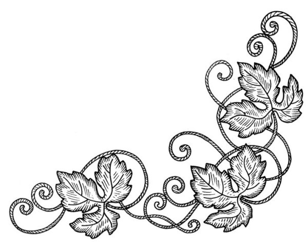Виноградная лоза рисунок