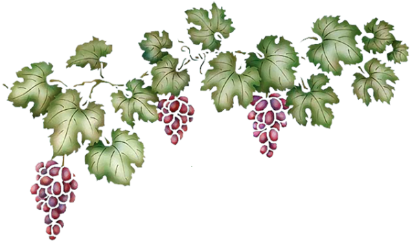 Виноград раскраска