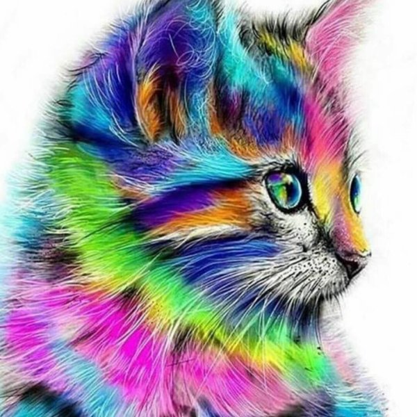 Яркие картинки