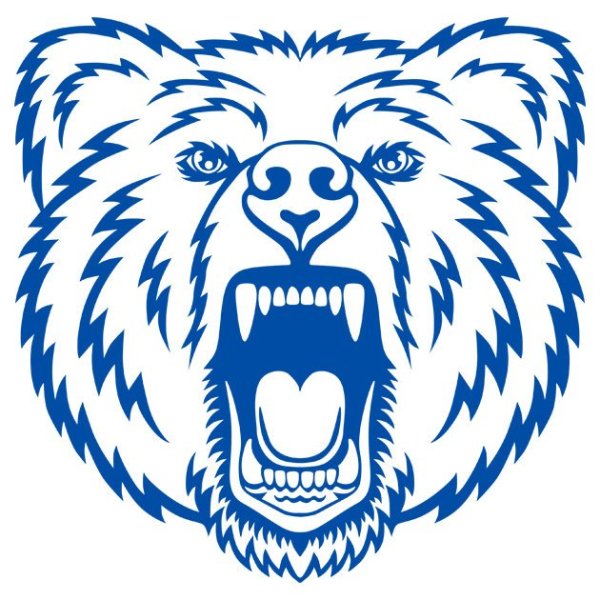 Изображение головы медведя