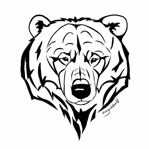 Медведь эскиз