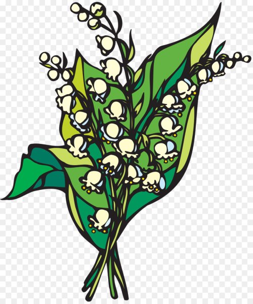 Ландыш рисунок