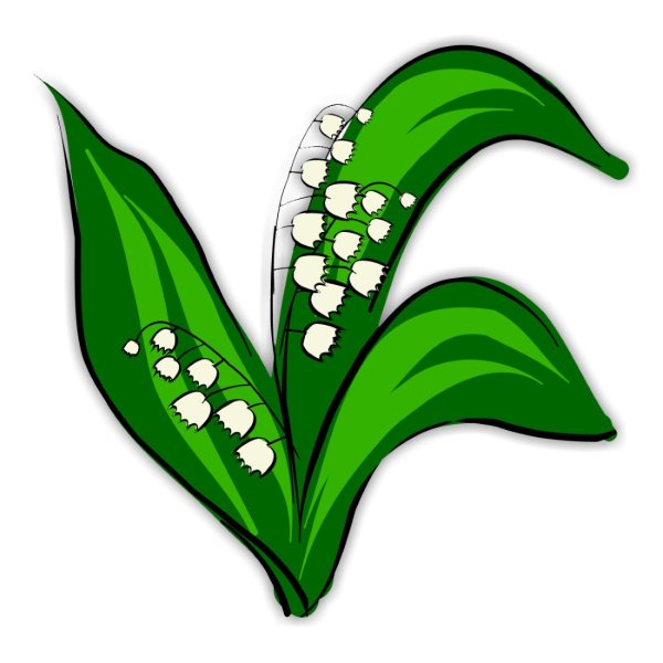 Ландыш Майский