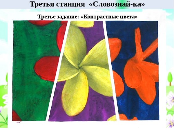 Контраст дополнительных цветов