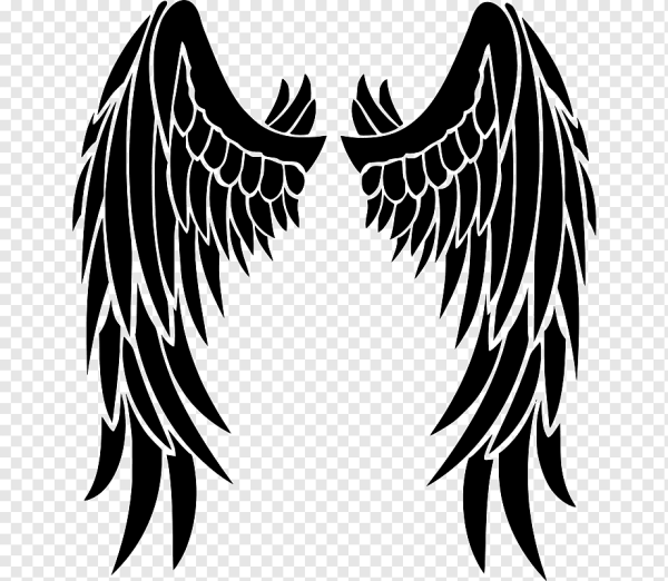 Черные Крылья