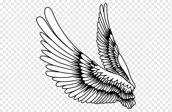 Крылья иллюстрация