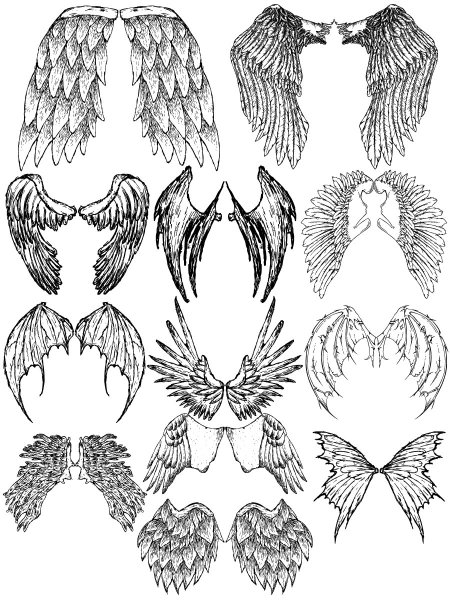 Крылья рисунок