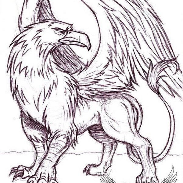 Владимир Фоканов Грифон