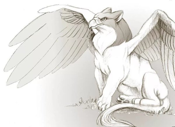 Грифон карандашом