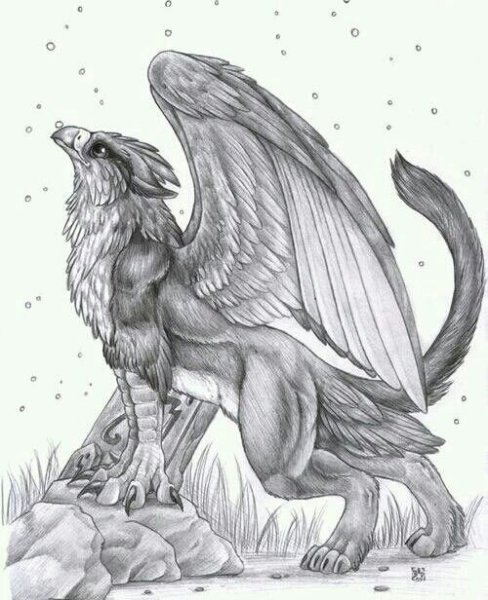 Грифон карандашом