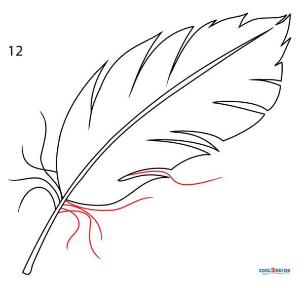 Перо рисунок карандашом для детей