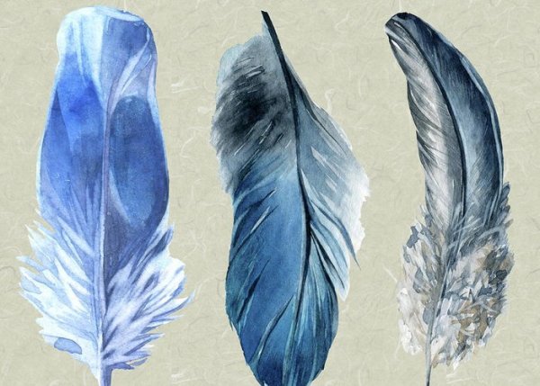 Перо карандашом