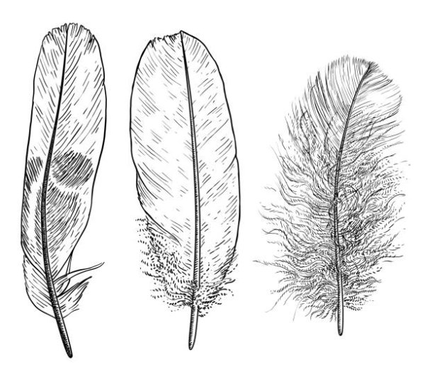 Перо для раскрашивания