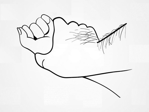 Волосатые руки рисунок