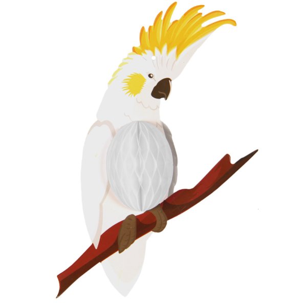 Какаду на ветке