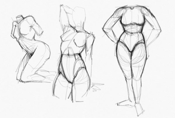 Рисунки тела для срисовки