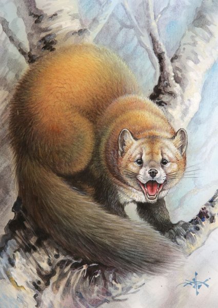 Художник Дегтев Александр картины