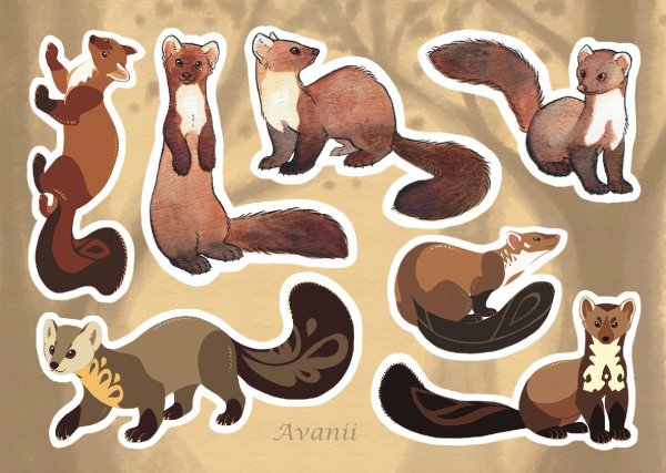 Хорек наклейка