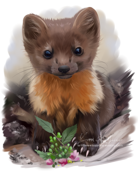 Куница арт