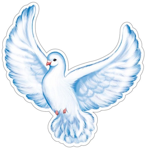 Голуби для оформления