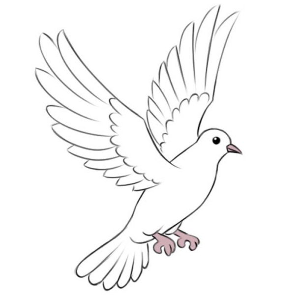 Голубь мира