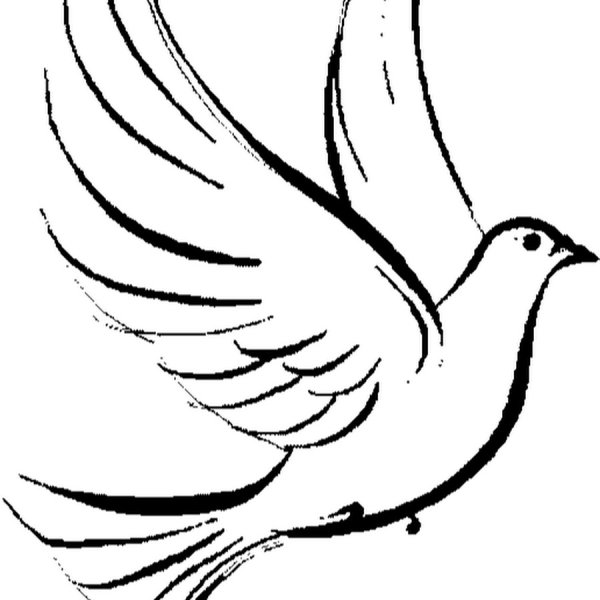 Голубь в полёте шаблон