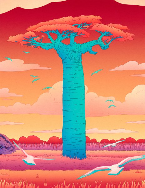 Баобаб рисунок