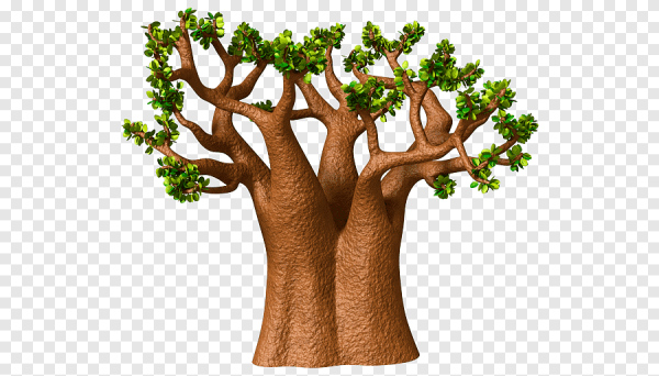 Баобаб для детей