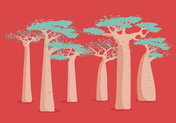 Баобаб вектор