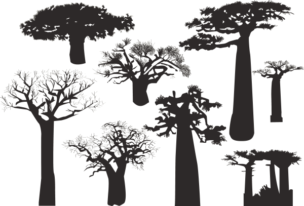 Дерево баобаб силуэт